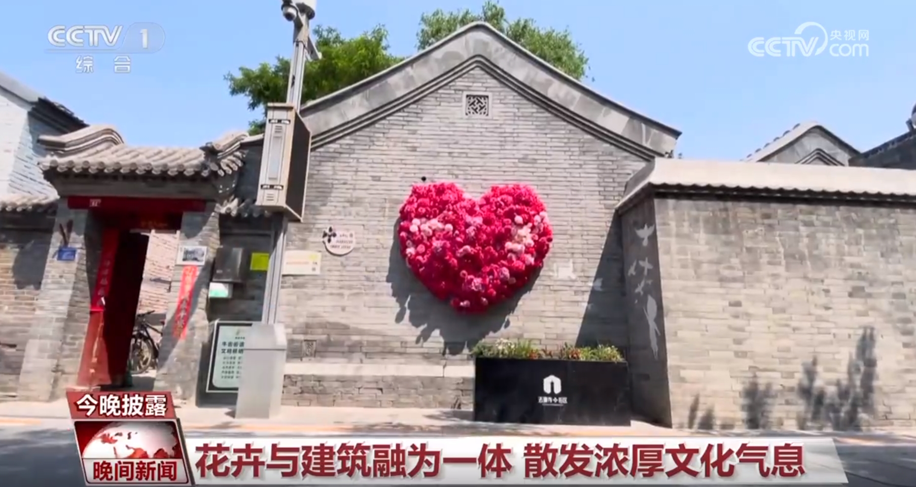 一路生花北京绿化带何以火热“出圈”？(图2)