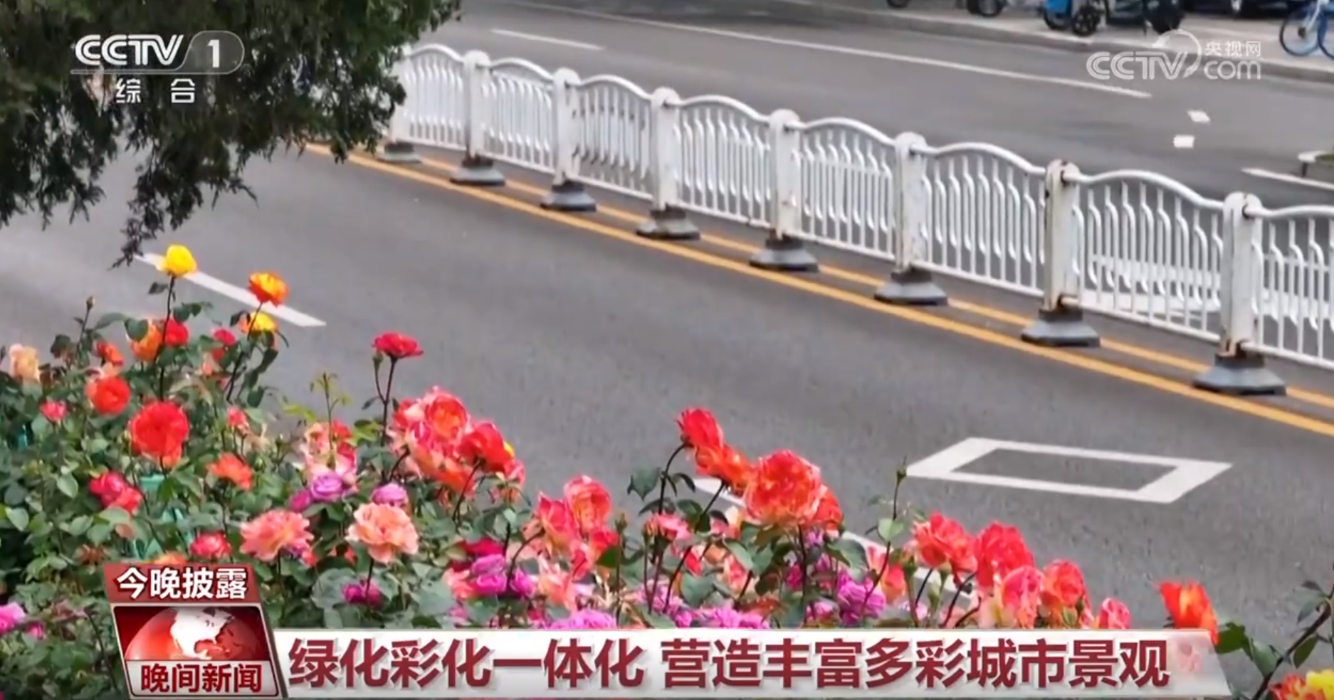 一路生花北京绿化带何以火热“出圈”？(图3)