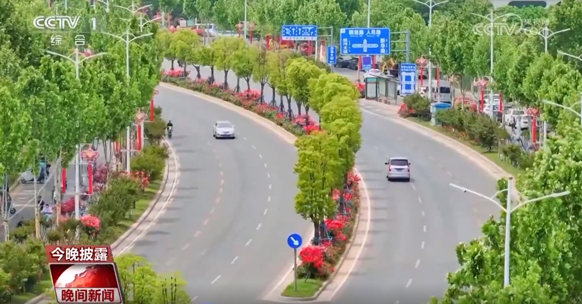 一路生花北京绿化带何以火热“出圈”？(图4)