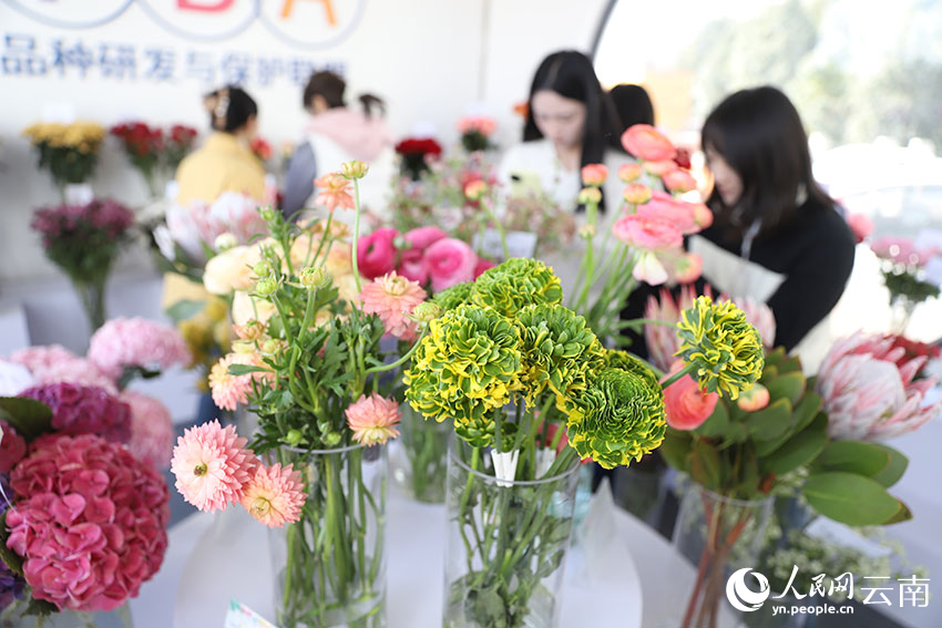 2024中国昆明斗南花卉展览会开幕(图2)