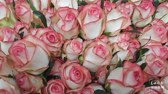 看见新职业95后“新农人”的花海答卷(图7)