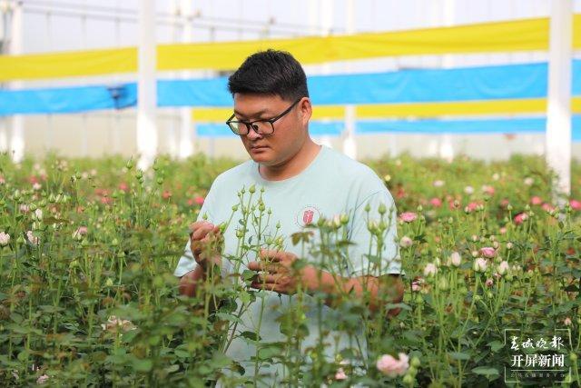 幸福升级文明加码开远：花卉产业绽放新活力(图2)