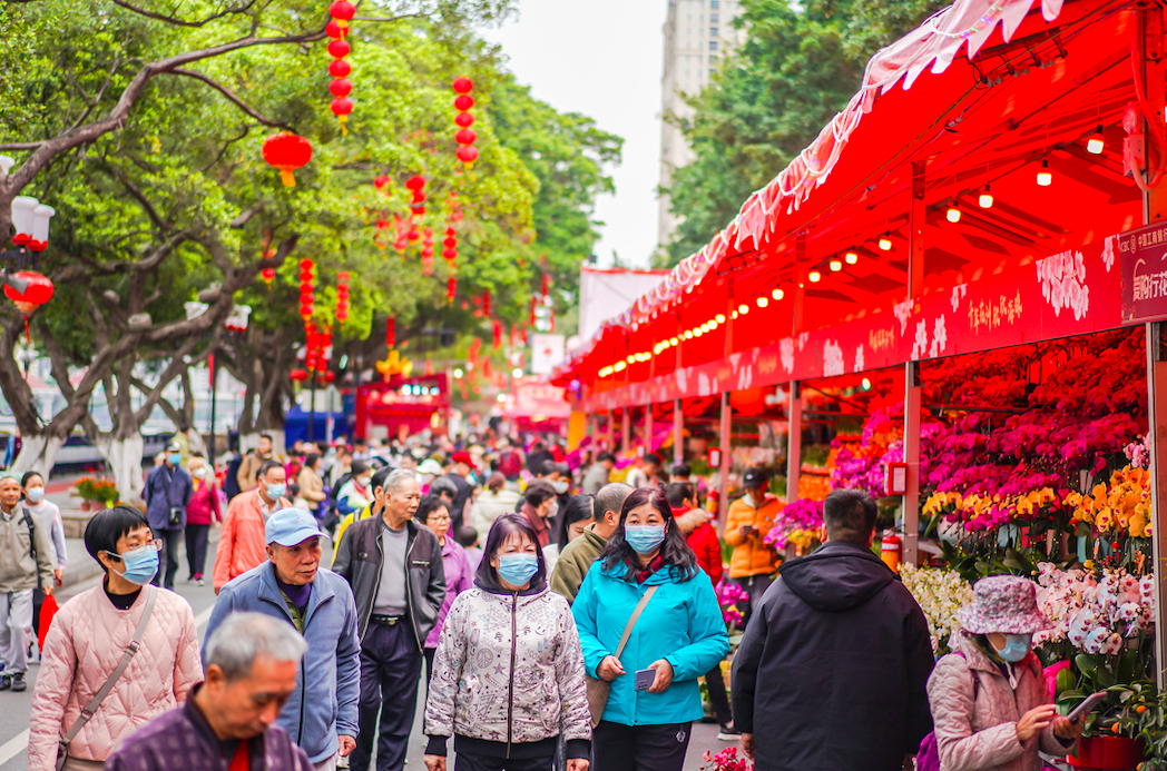 2024年海珠花市热闹开市！新品种年花走俏(图1)