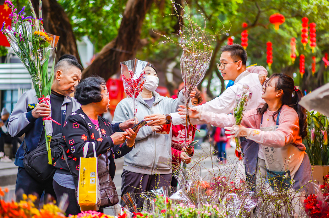 2024年海珠花市热闹开市！新品种年花走俏(图5)