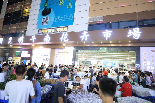 亚洲第一“花”开斗南(图8)