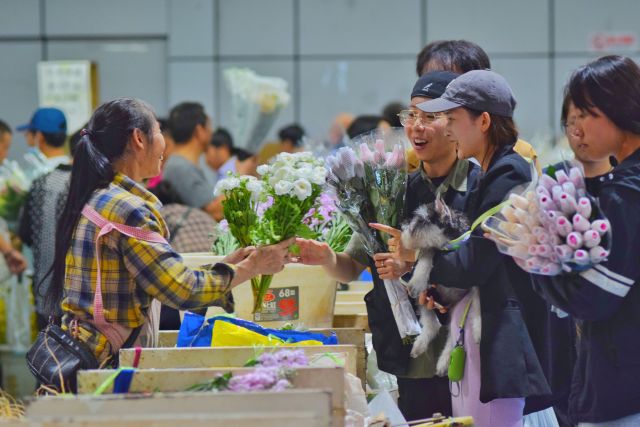 亚洲第一“花”开斗南(图9)