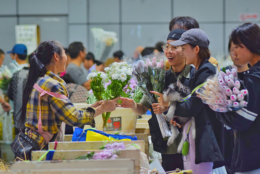 观云台亚洲第一“花”开斗南(图9)