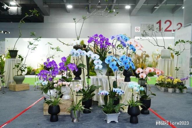 2024广州花卉展览会花店用品展花卉盆栽展(图3)