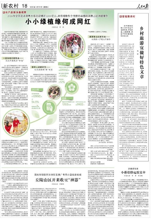 “禁止蕉绿”网红绿植治愈你(图5)