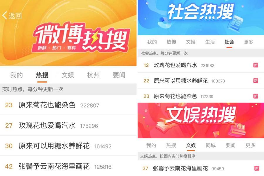 《花开中国》红河篇收视与口碑齐飞全网热议引爆“云花”热潮(图1)
