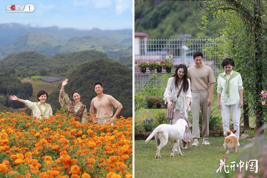 《花开中国》红河篇收视与口碑齐飞全网热议引爆“云花”热潮(图6)