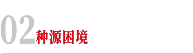 全国人均10枝云南鲜花为何依然被卡脖子？(图3)