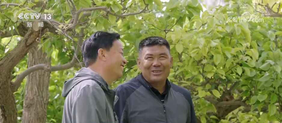 砥砺奋进七十载天山南北谱华章贫困村→小康村各民族携手一心共筑富裕路(图4)