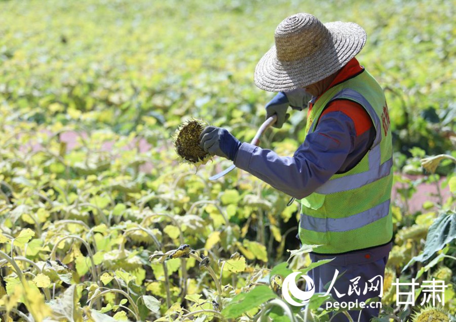 丝路IP机遇中国产业兴、生态美秦王川上动能澎湃(图4)