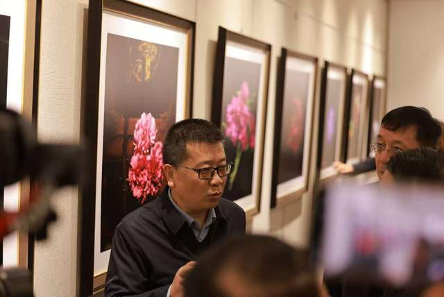 临夏牡丹摄影作品集兰州巡展马健用影像诠释花儿之美(图4)