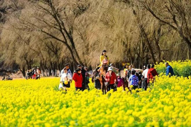 云南安宁撤县设市三十周年：交出高质量发展答卷(图4)