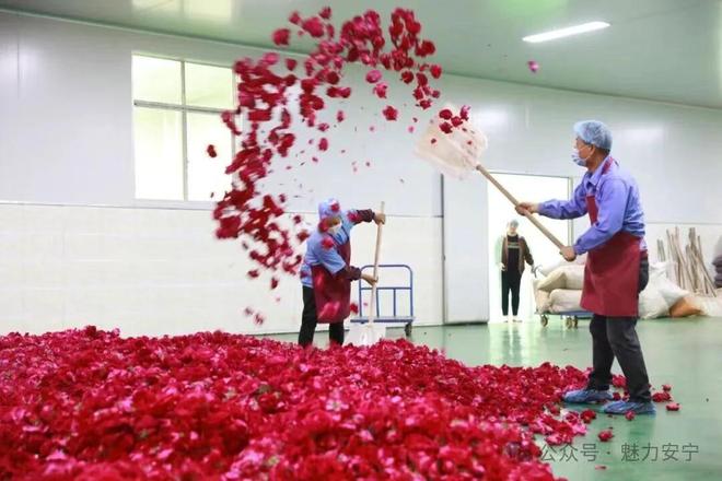 云南安宁撤县设市三十周年：交出高质量发展答卷(图5)