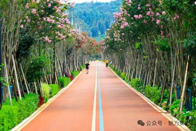 云南安宁撤县设市三十周年：交出高质量发展答卷(图10)
