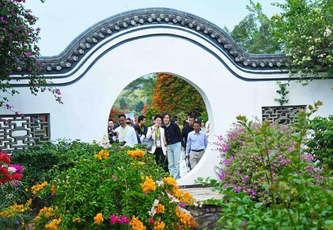 花都三角梅展盛大启幕！数百盆景、花卉品种惊艳亮相(图9)