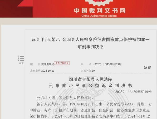 四川两兄弟悬崖盗挖独蒜兰1362株3年卖花所得21万元各获刑3年(图11)