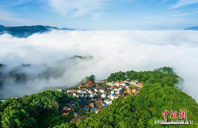 福建柘荣林间花带绽放经济新活力(图1)