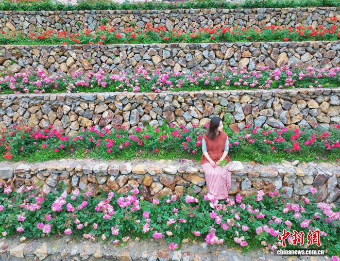 浙江县域观察：山村“文化种子”绽放“希望之花”(图3)