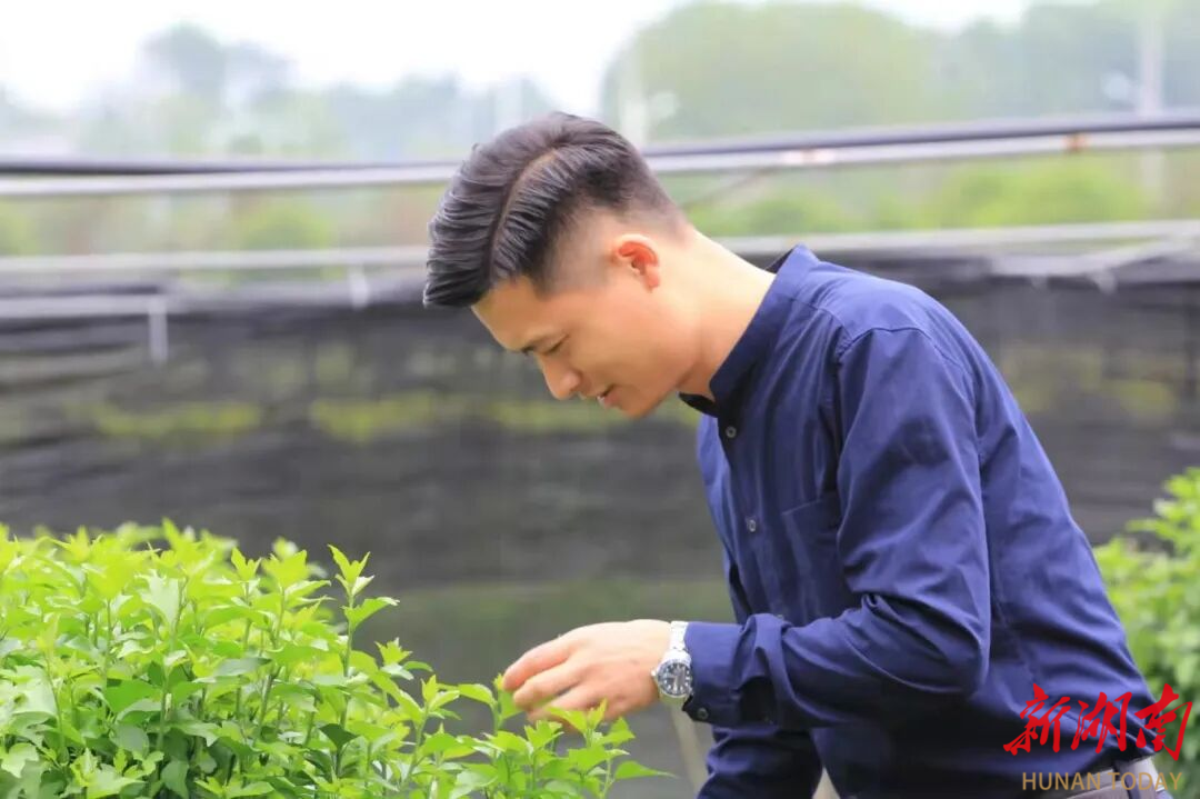 省大学生创业典型选树结果出炉益阳这个伢子凭“一朵花”入选！(图2)