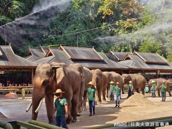 西双版纳5日游花钱不踩坑！2024最新费用清单+纯玩团行程攻略(图2)