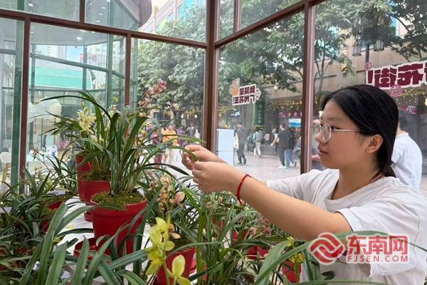 连城兰花绽越秀广龙合作谱新篇(图1)