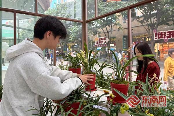 连城兰花绽越秀广龙合作谱新篇(图2)