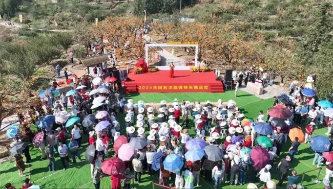 宁德市发展新型农村集体经济“强村共富”八法(图2)