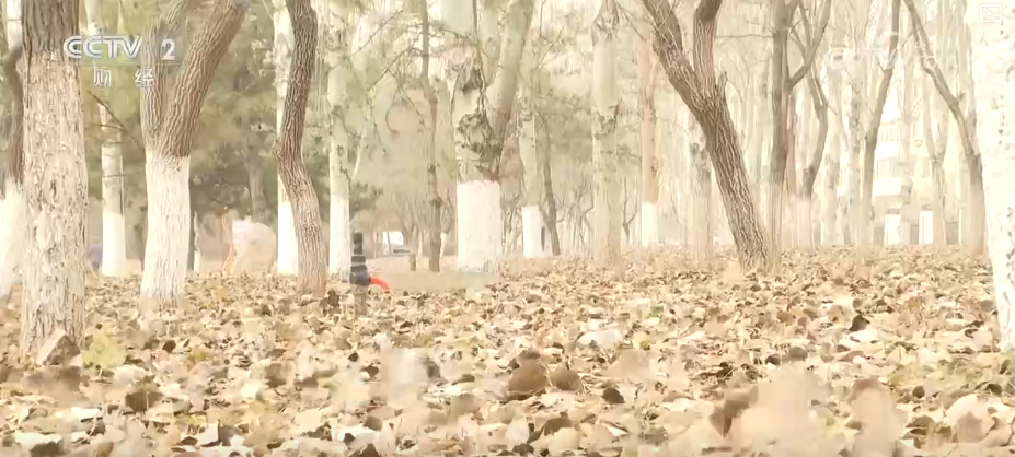 清扫、巡逻、走访……各部门协力应对风雪保障道路畅通与群众生产生活(图6)