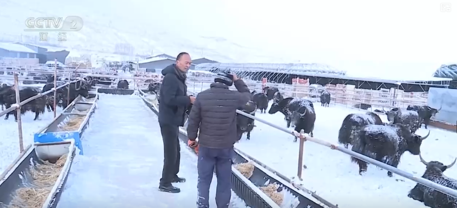 清扫、巡逻、走访……各部门协力应对风雪保障道路畅通与群众生产生活(图17)