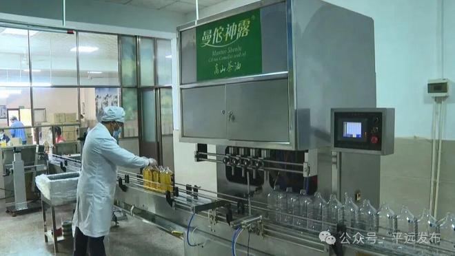 2024年平远林业产业总产值297亿元(图4)