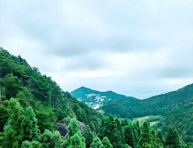 一株就入刑!24年浙江夫妻售卖30余株挣1000元却被判3年罚17万(图2)