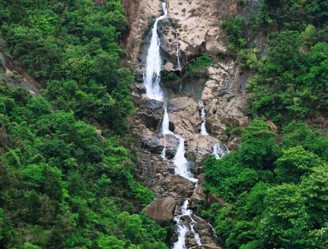 一株就入刑!24年浙江夫妻售卖30余株挣1000元却被判3年罚17万(图3)