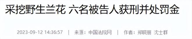 一株就入刑!24年浙江夫妻售卖30余株挣1000元却被判3年罚17万(图15)