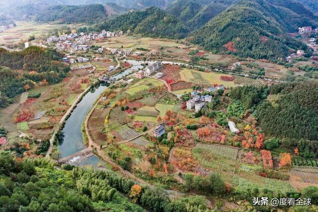 不砍树不挖矿！全州小村靠红枫逆袭20年走出生态致富新路子(图7)