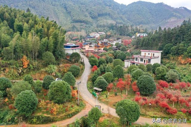 不砍树不挖矿！全州小村靠红枫逆袭20年走出生态致富新路子(图10)