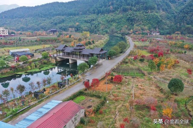 不砍树不挖矿！全州小村靠红枫逆袭20年走出生态致富新路子(图8)