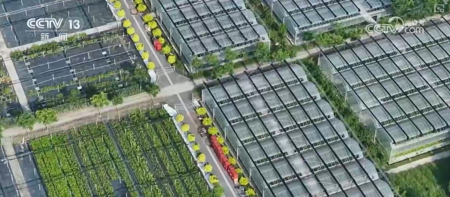 以确定性政策托举信心让百姓“有钱花、敢花钱”措施如何精准触达？解读↓(图17)