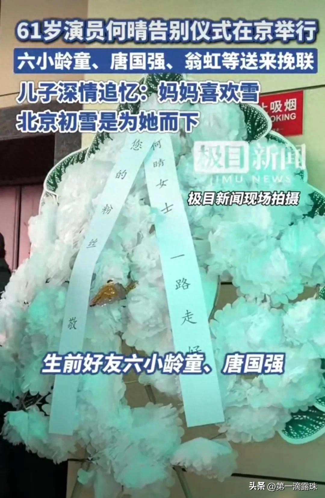 何晴告别仪式影迷现场送别儿子许何追忆母亲许亚军疑似现身(图1)