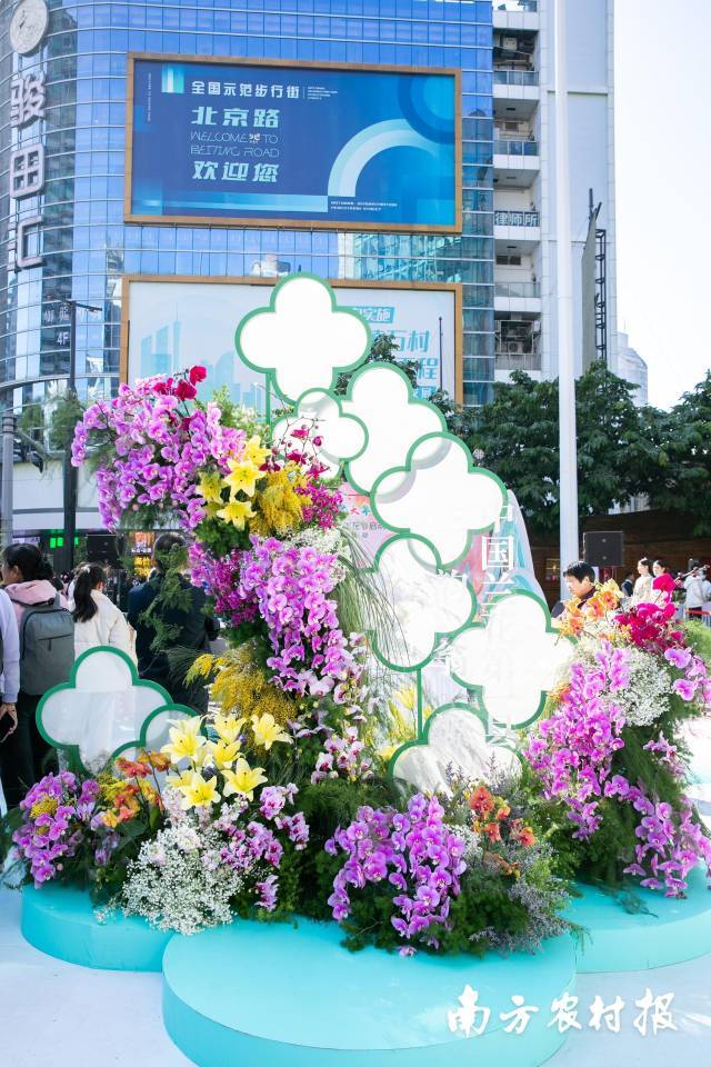 满城花事寄寓花漾新年！2025翁源兰花湾区年花节启动(图11)