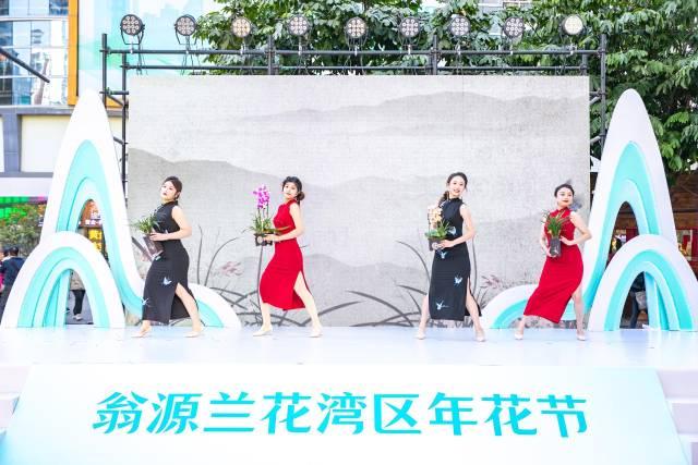 满城花事寄寓花漾新年！2025翁源兰花湾区年花节启动(图9)