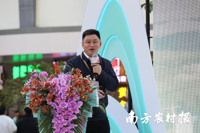 满城花事寄寓花漾新年！2025翁源兰花湾区年花节启动(图8)
