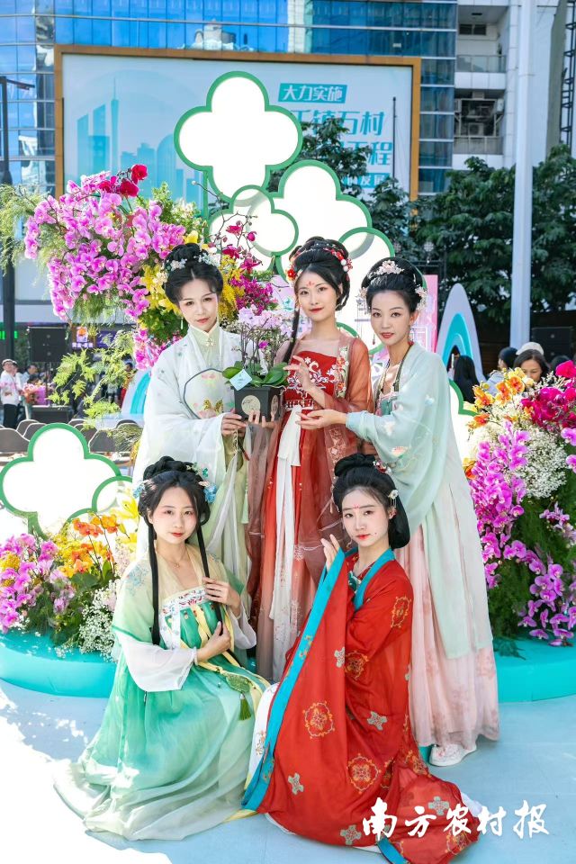满城花事寄寓花漾新年！2025翁源兰花湾区年花节启动(图14)