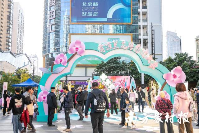 满城花事寄寓花漾新年！2025翁源兰花湾区年花节启动(图12)