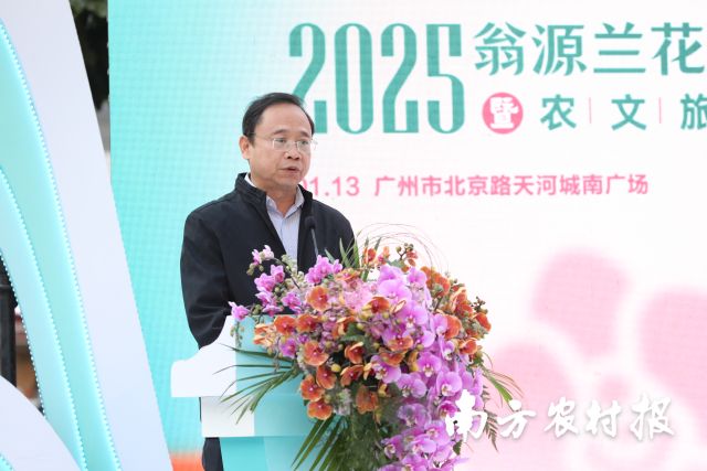 满城花事寄寓花漾新年！2025翁源兰花湾区年花节启动(图17)