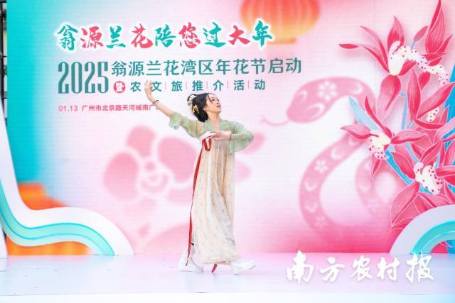 满城花事寄寓花漾新年！2025翁源兰花湾区年花节启动(图19)