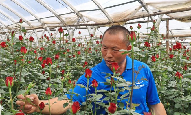 马龙区特色农业多点开花(图3)